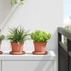 Flower Pots 6 pcs Terracotta Red Ø 12.5 x 10 cm Plastic