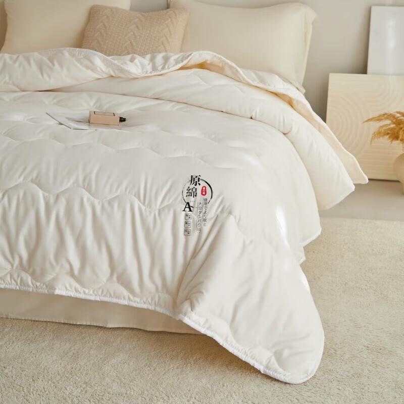 Hodo Polyester Moisturizing Quilt