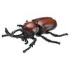 TAKARA TOMY Ania Beetle Insect Toy for Ages 3 and Up AS-37