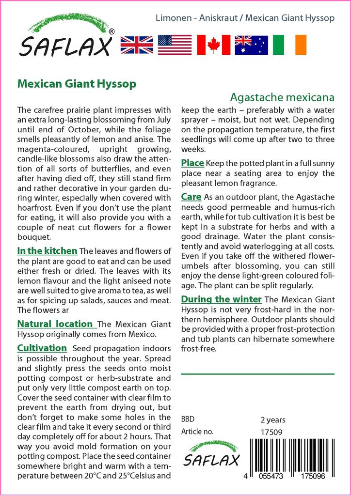 SAFLAX Garden in the Bag - Иссоп мексиканский гигантский - 50 семян - С субстратом в подходящем стоячем пакете - Agastache mexicana