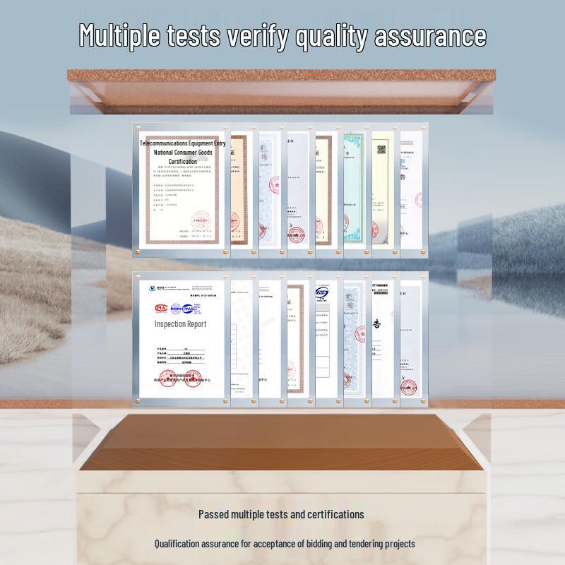 netLINK Multifunction Integrated Services Optical Transceiver