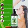 WILDERA Шампунь Essences Aloe Vera для мягких волос и свежей кожи головы с чистым алоэ вера и эвкалиптом, без сульфатов и парабенов, 300 мл