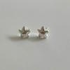 Salted Petit Star Earring