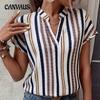 Plus Size Women's New Summer Striped Printed V Neck Batsleeve Top