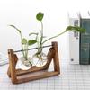 Hydroponic Plant Vases Glass Vase Vintage Bonsai Flower Pot Terrarium Tabletop Tray Wooden Frame Home Decor