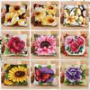 Plant Series Segment Embroidery Pillow Flowers Grass Coarse Wool Cross Stitch 3D Latch Hook Carpet Embroidery DIY Latch Hook Kit
