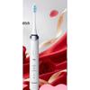 Panasonic AI Smart Sonic Electric Toothbrush EW-DC14 CN plug (adapter included)