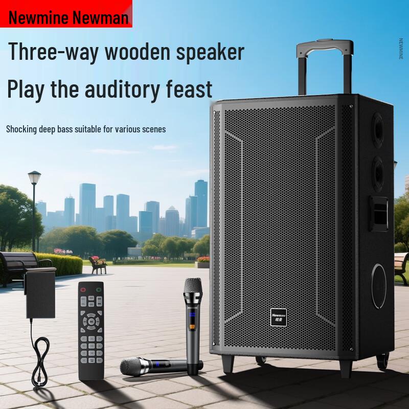 Портативная тележка Bluetooth-колонка Newsmy N527 15 дюймов, штекер CN (адаптер в комплекте)