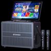 Домашняя аудиосистема KTV SANSUI Q58 с двумя микрофонами, штекер CN (адаптер в комплекте)