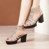 Summer Women's High Heel Shoes Rome Women's Peep Toe Platform Chunky Heel Gladiator Sandals Outdoor Dress Party Fish Mouth Shoes