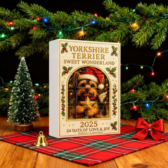 Календарь Адвента Caw-F 2025 Куриные украшения 24-дневная коробка для отсчета времени Подвесной декор для рождественской елки Многофункциональное праздничное украшение для детей