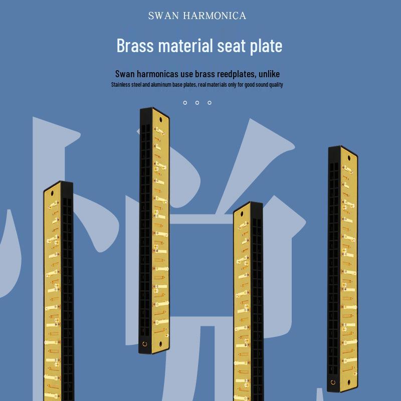 Swan Harmonica: Professional Double Reed, C Key, 24/28 Holes for Beginners & Adults