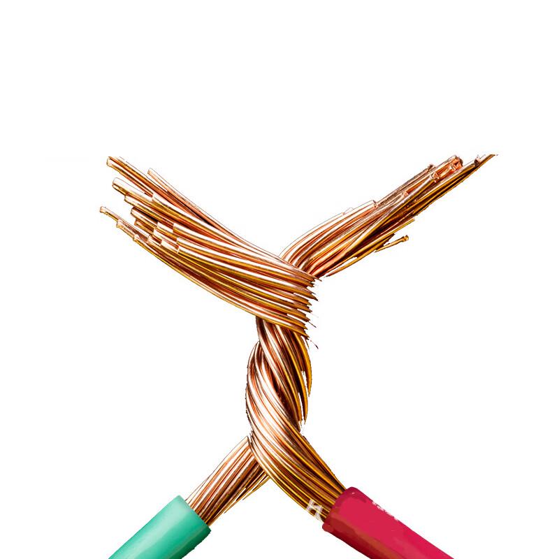 Xingongpai BV 4mm² Copper Core Hard Wire