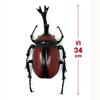 Набор из 2: Король жуков, Жук-носорог, Жук-геркулес, Большая фигурка, Суперреалистичный