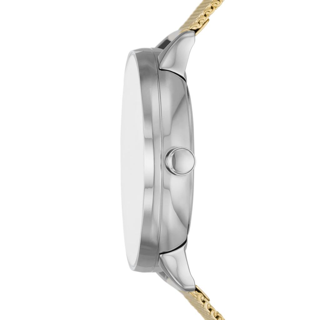 Часы RIIS SKW3092 Gold [Skagen] женские