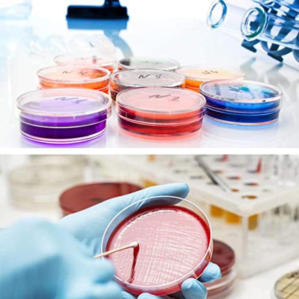 55x15mm 90x15mm Clear Petri Dish Sterile Petri Dishes Petri Dishes Bacteria Culture Dish