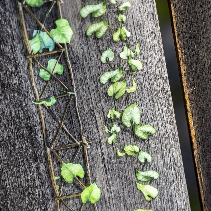 25mm*2m PET Tapes Garden Path DIY Scrapbooking Decor Photo Album Collage Junk Journal Materials Aesthetics Stickers