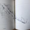 [Б/У] Редкий артбук японского художника Юдзи Тэдзуки: Призрачный водопад, Ограниченное издание 1000 экземпляров