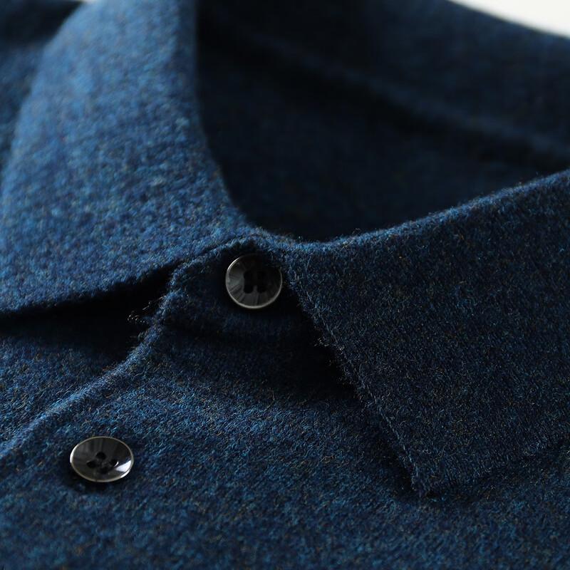 Мужской свитер-поло из мериносовой шерсти Antonio