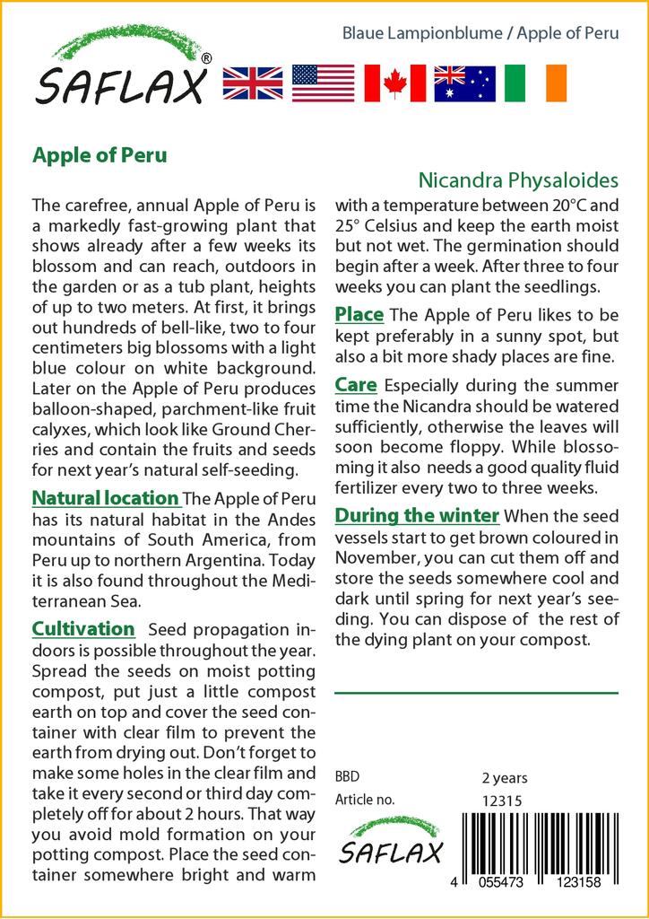 SAFLAX Яблоко Перу - 100 семян - Nicandra physaloides