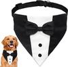 Dog tuxedo, dog suit, dog wedding bandana, necktie, adjustable  tuxedo