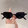 Popular Cat Eye Sunglasses Fashion Retro Korean Style Leopard Shades Women Trendy Brand Designer Stylish Sun Glasses