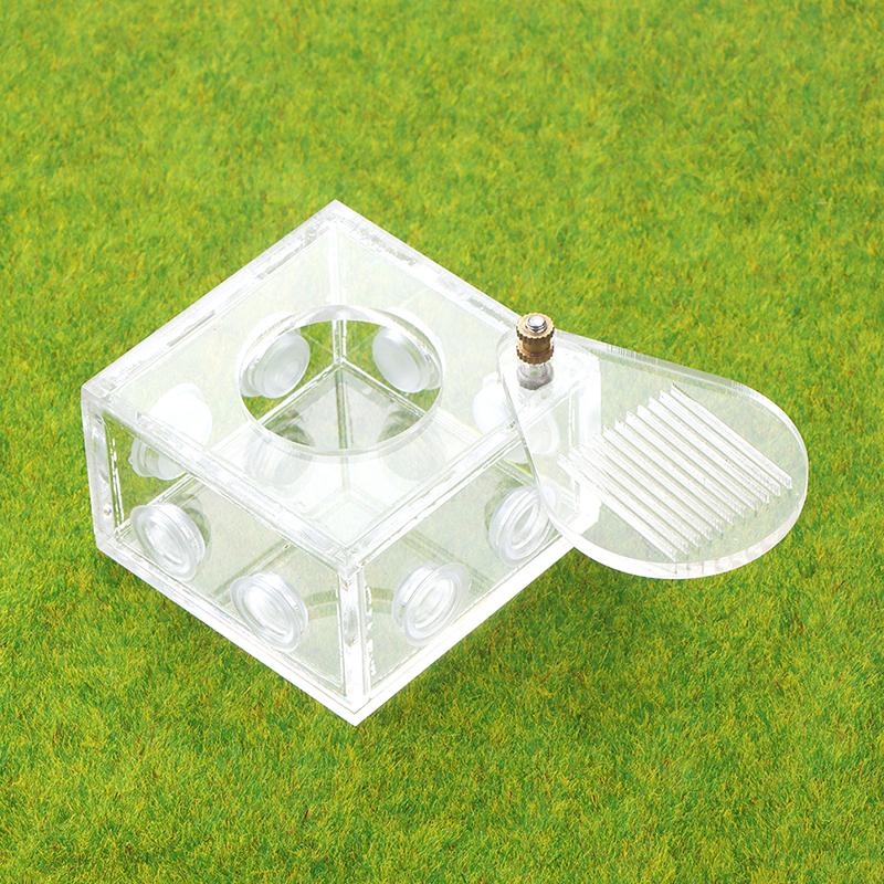 Акриловая зона активности муравьев, гнездо для подключения пробирки, коробка для кормления муравьиной фермы своими руками