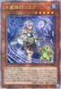 Yu-Gi-Oh! Водный Дух Медиум Эрия Азиатская версия ROTA-JP023 [QCSE] / Японский текст