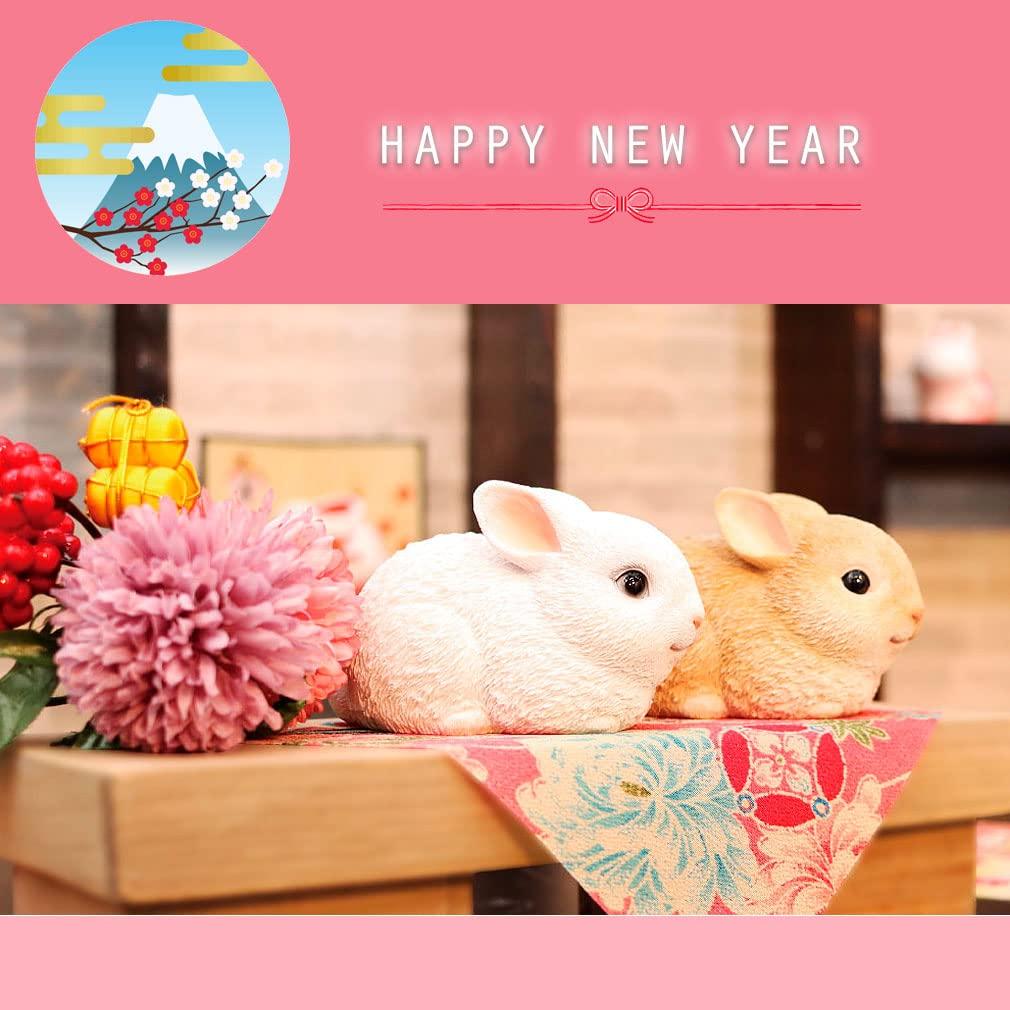 Магазин Кролик Пара Фигурка Зодиак Смола xx Новогоднее украшение Подарочный предмет Кролик Белый [Подарок Необычный] 5.8 10.6 H6.6cm [Подлинный продукт] (Коричневый &