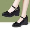 Fashion 2025 Hot Sale Women's Shoes Buckle Strap Women's High Heels Fashion Crystal Office and Career Sexy Pointed Toe Shoes for Women