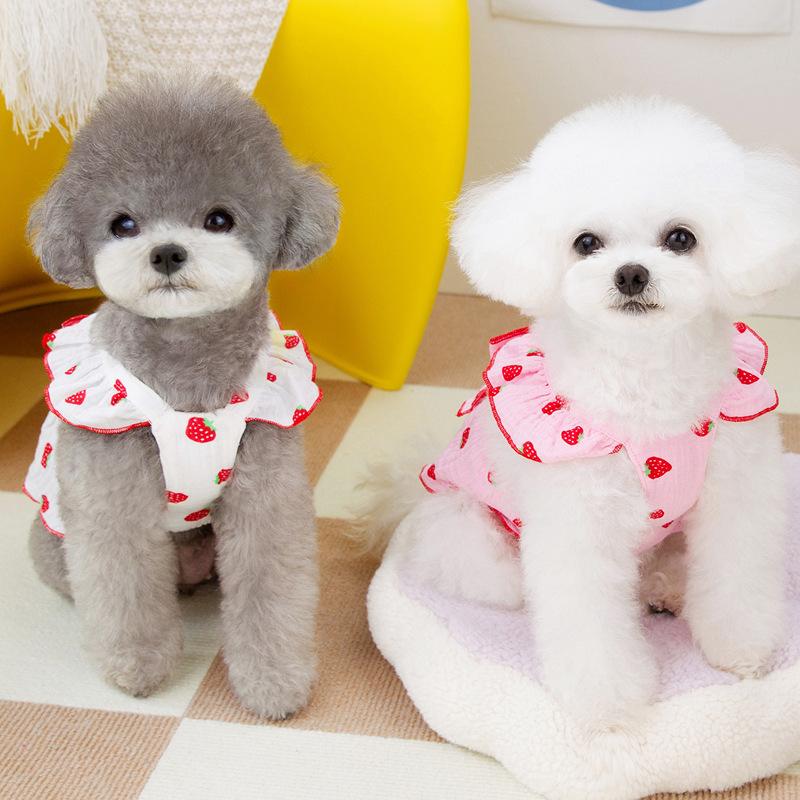 Pet Dog Dog Clothes Princess Skirt Spring Autumn Summer Small Dog Teddy Pomeranian Quiet Lady Skirt