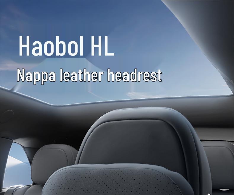 Essential Car Interior Set: Haobo HL Headrest, Lumbar Support, Neck & Waist Protection.