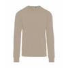 SG Unisex Adult Ringspun Cotton Tagless Sweatshirt