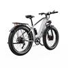 DUOTTS Электрический велосипед F26, аккумулятор 48 В 17,5 Ач, 750 Вт*2, два двигателя, электрический горный велосипед, 26 дюймов, толстые шины, электровелосипед для взрослых