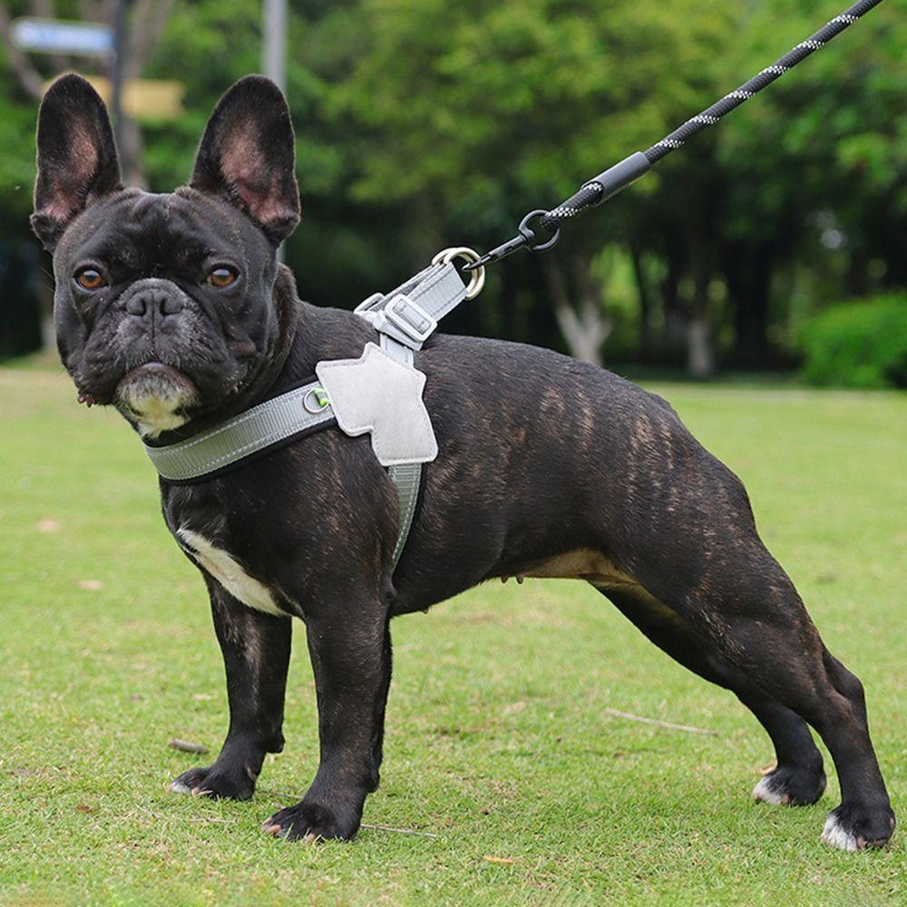 Dog Chest Strap Pet Harness Saddle French Bulldog Collar Dog Chest Strap Pet Traction Rope