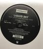 12-дюймовая пластинка LIQUID SKY - Take What You Wanna Take UND107512 Underground 2002 Германия Танцевальная и электронная музыка Б/У