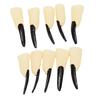 10pcs Halloween Zombie Fingertips Nail Prop Witch Decoration Party Nail Ornament
