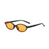 Small Frame Oval Sunglasses For Unisex Lightweight Trendy Sexy Leopard Black Brown Ladies Shades Retro Eyewear Gifts Uv400