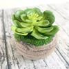 1Pc Plastic Fake Artificial Succulents Plant Bonsai Garden Home Office Decor