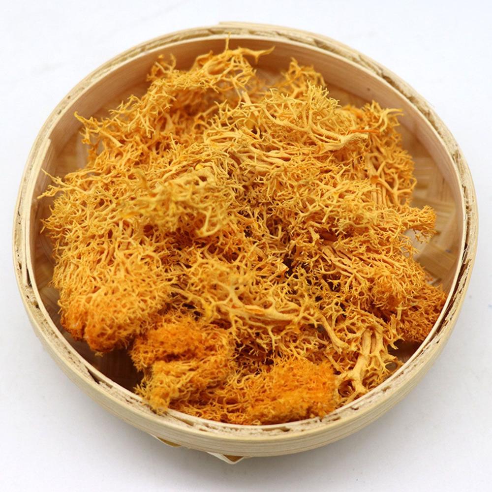 Украшение Рождественский цветок Искусственное растение Мох олений Вечный мох Микроландшафт