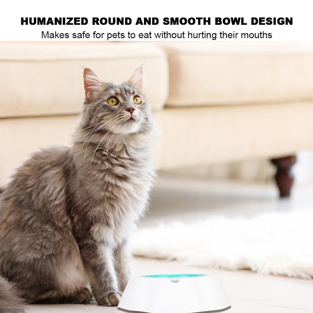 Double Wall Cooling Pet Bowl Round Shape Chilled Cat Dish Summer Pet Water Bowl Summer Hydration