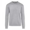 SG Unisex Adult Signature Plain Tagless Sweatshirt