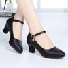 Fashion Ladies Shoes 2024 High Quality Buckle Strap Women's High Heels Fashion Shallow Office and Career Sexy Pointed Toe Heels Women