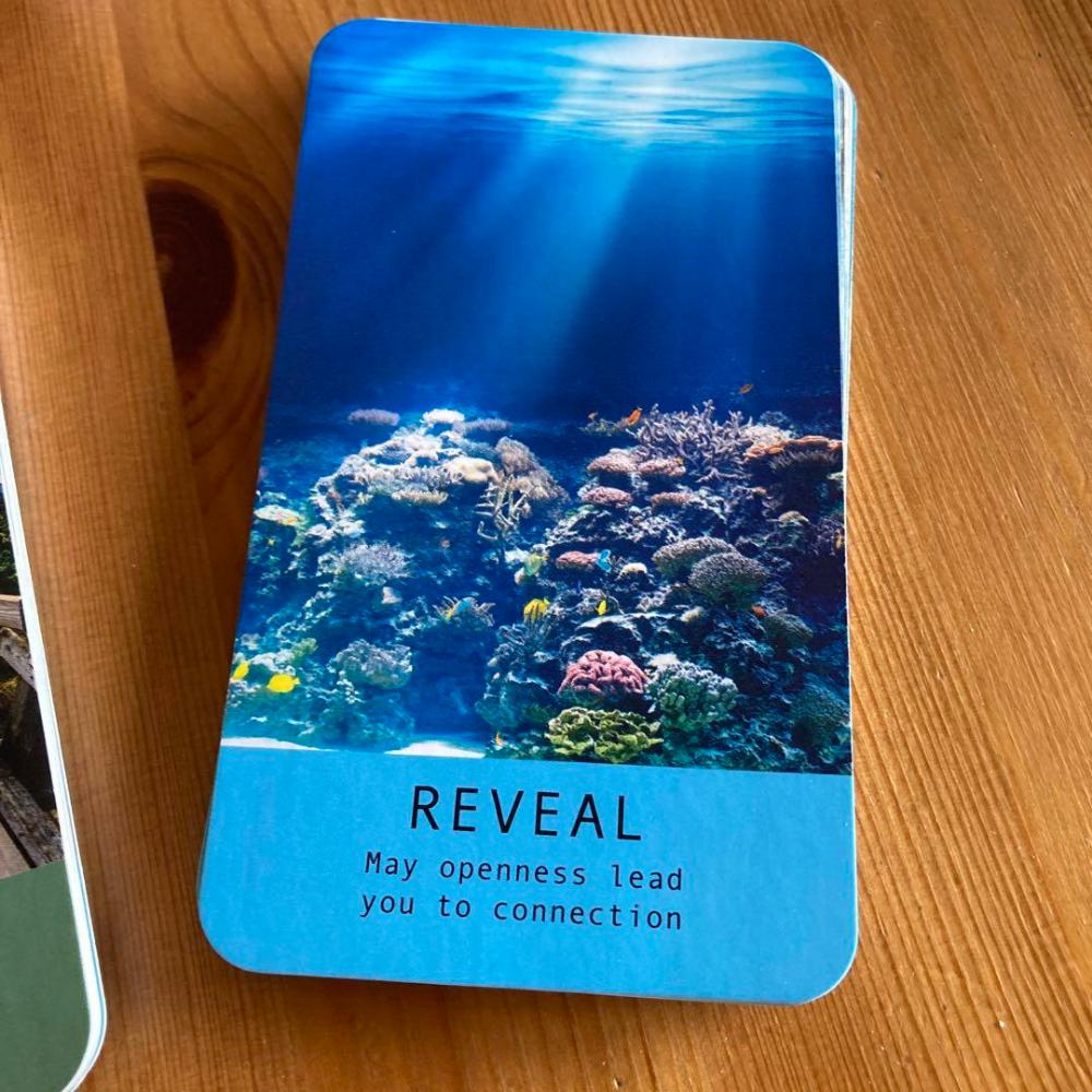 10.3*6cm Sea Soul Journeys Oracle Cards: Connect with The Healing Power of The Ocean 48 Pcs Cards