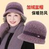 Вязаная шапка шапка зимняя женская теплая шапка плюшевая толстая шапка из шерсти для пожилой женщины