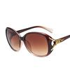 Sunglasses Oversized Outdoor Vintage Fox Decoration Polarized Retro Women Classic Sun Glasses UV400 Delicate Jewelry