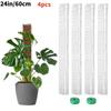 24/36/48 Inch Plastic Moss Pole for Monstera, Large D Shaped Poles Pot Climbing Plants Work Sphagnum Moss, Garden Growth Stake