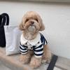 Breathable Dog Thin Shirt Collared Style Dog T Shirts Fashion Dog Striped Shirt  Kittens Wear