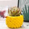 Handmade Ceramic Flower Pot for Succulent, Cute Fruit, Creative Vase, Simple Home and Room Decoration