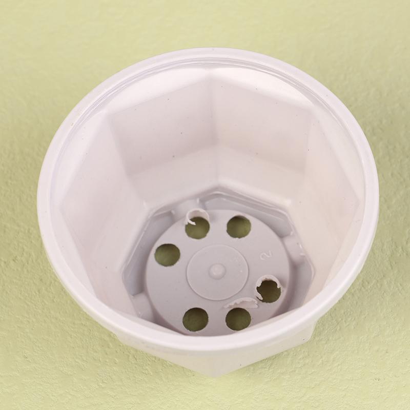 1 шт. подвесной восьмиугольный цветочный горшок пластиковый цветок суккулент орхидея подвесной горшок